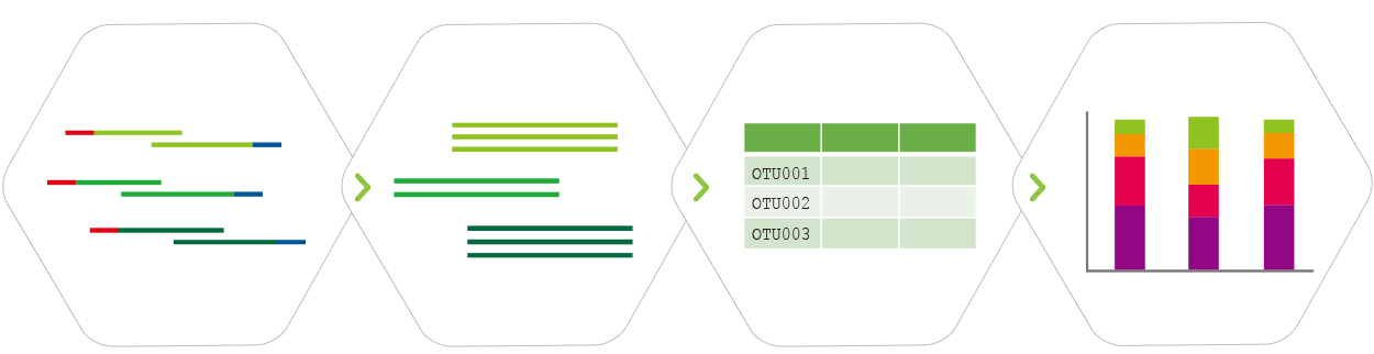 Bioinformatic Analysis